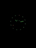 66301Traser H3 110327 P67 Diver automatic Green 46mm 50ATM-8