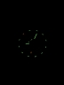 66308Traser H3 110328 P67 Diver automatic Green 46mm 50ATM-8