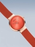 69490Bering 14531-565-2