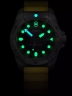 70450Victorinox 241992 Mens Watch Dive Pro Quartz Titanium 43mm 30ATM-2