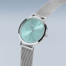 71749Bering 14134-005-GWP-1