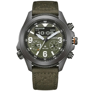 Citizen JV1005-02W - zegarek