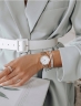 75277Daniel Wellington DW00100343 Damenuhr Iconic Link 40mm 3ATM-6