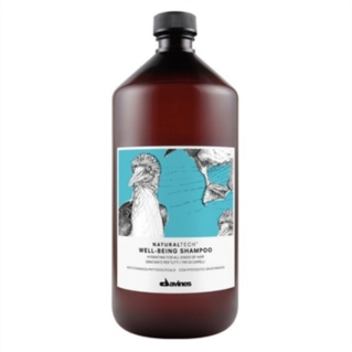Davines Natural Tech Well-Being Shampoo szampon nadający połysk i miękkość 1000 ml