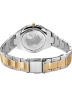 52292Bering 17231-704 Ultra Slim ladies 31mm 3ATM-5